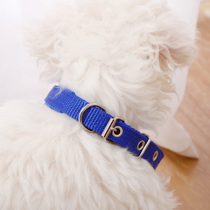 Nylon Dog Collar Multi Colours 4 * 70CM dealonline.co.nz