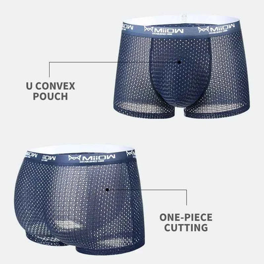 MiiOW Mesh Breathable Men Boxers Underwear Sexy Ice Silk Men's Panties Mens Underpants Plus Size Man Boxer Briefs L-4XL Trunks