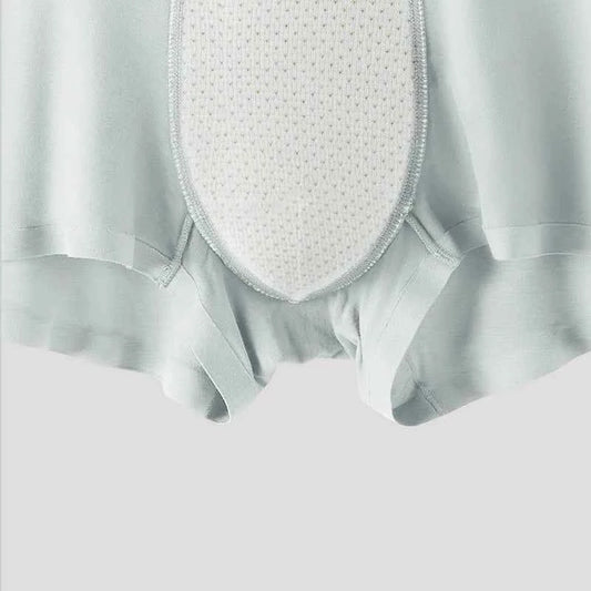 MiiOW 3Pcs Silkly Cool Men Underwear Boxers Antibacterial Crotch Men's Panties Autumn Winter Soft Skin-friendly Man Boxer Briefs
