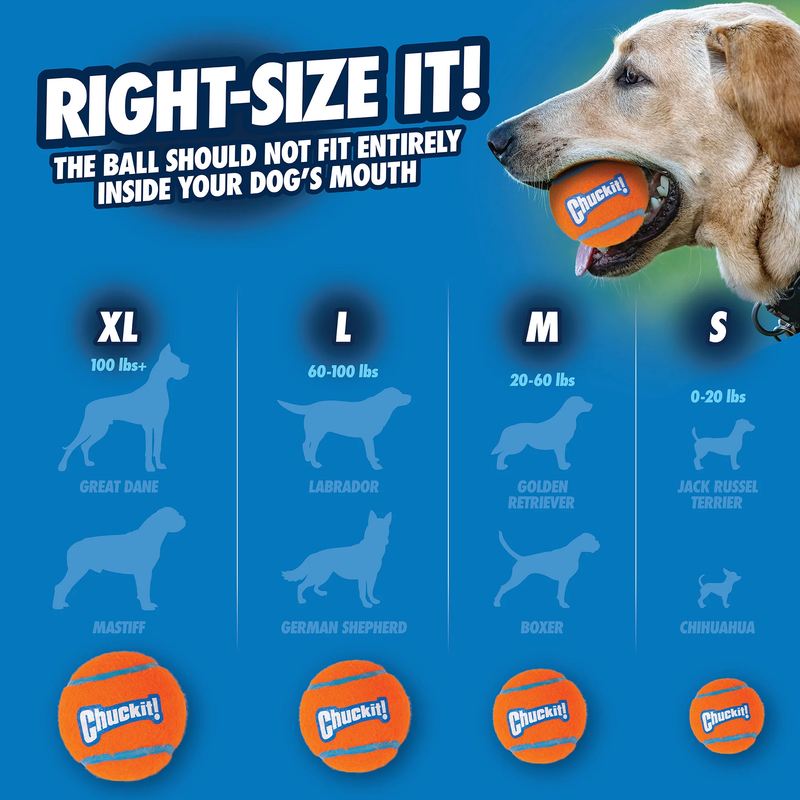 Chuckit! Tennis Ball Lge - 1pk Animal Addiction Limited
