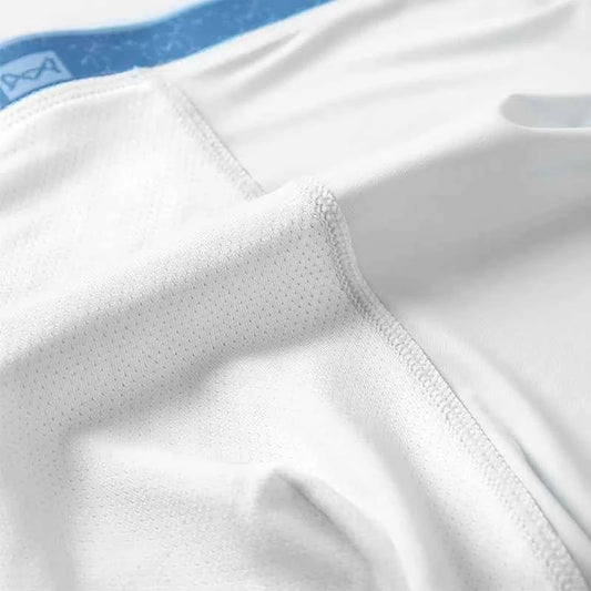MiiOW 3Pcs Ice Silk Men Underwear Boxers 10A Antibacterial Crotch Men's Panties Breathable Silky Man Underpants Mens Boxershorts