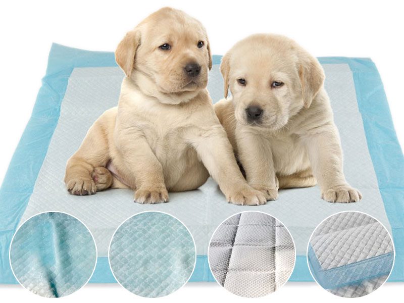 Puppy Training Pads dealonline.co.nz