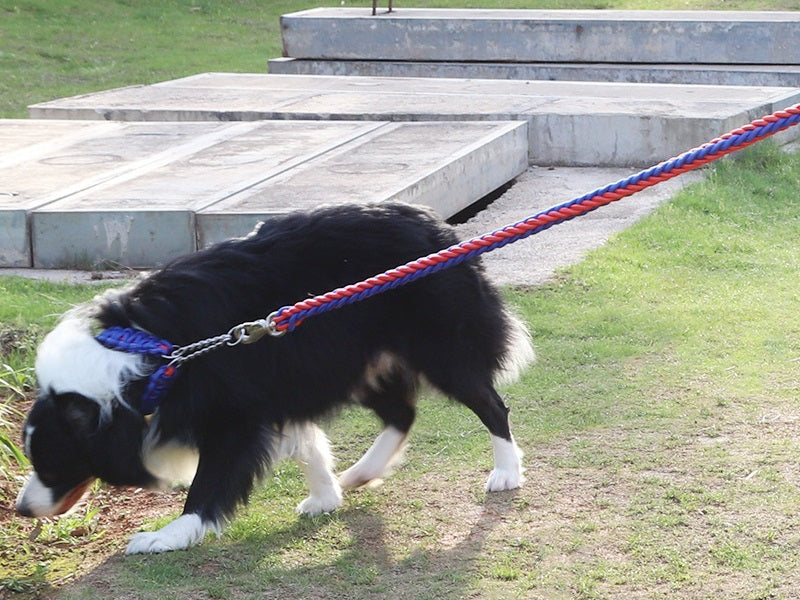 LARGE BLUE&RED Strong Dog Leash Climbing Rope Threaded Pet Training dealonline.co.nz
