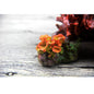 Fish Tank Decoration 015 dealonline.co.nz