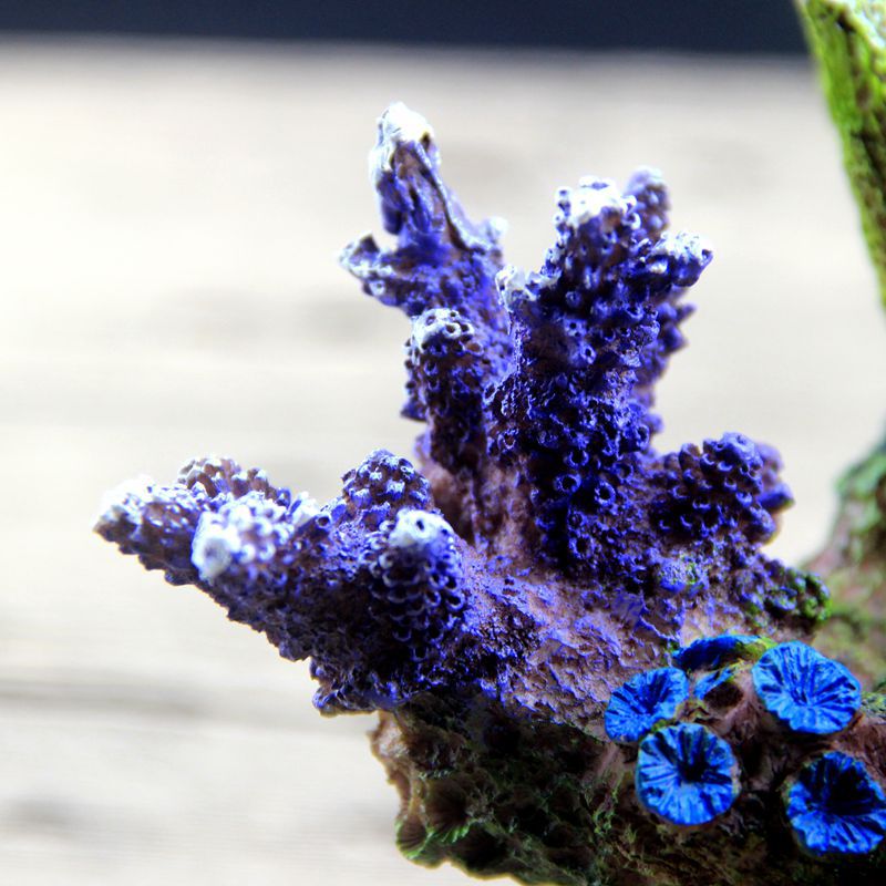 Fish Tank Decoration 015 dealonline.co.nz