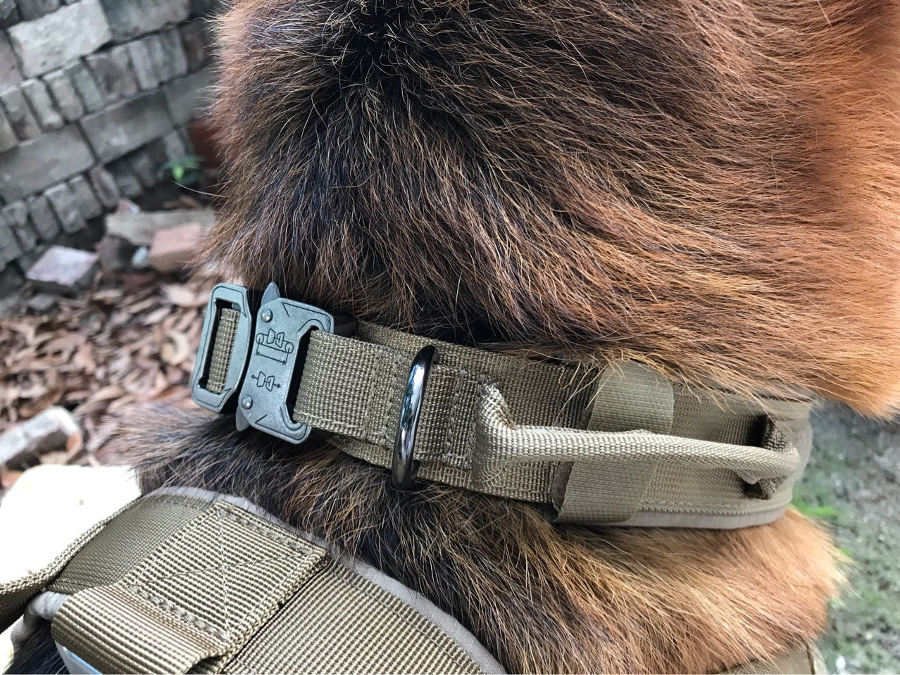 Tactical Dog Collar Adjustable Military Training Nylon Dog Collar Metal Buckle dealonline.co.nz