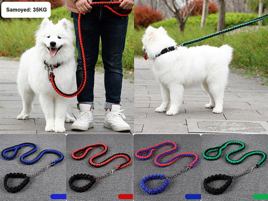 LARGE BLUE&RED Strong Dog Leash Climbing Rope Threaded Pet Training dealonline.co.nz