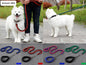LARGE BLUE&RED Strong Dog Leash Climbing Rope Threaded Pet Training dealonline.co.nz