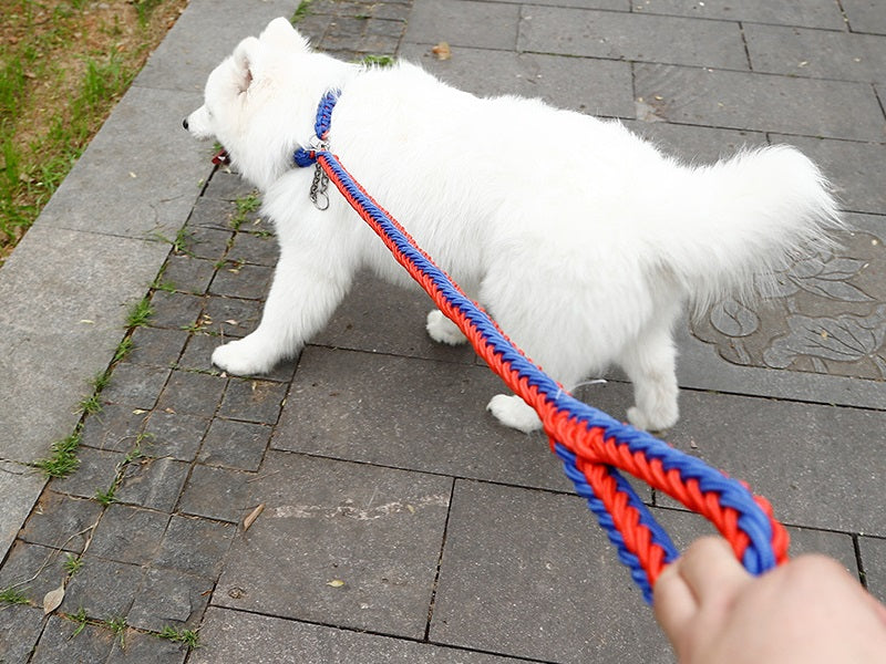 LARGE BLUE&RED Strong Dog Leash Climbing Rope Threaded Pet Training dealonline.co.nz