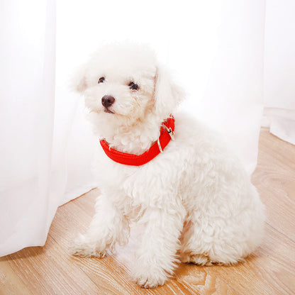 Nylon Dog Collar Multi Colours 4 * 70CM dealonline.co.nz