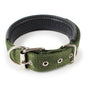 Nylon Dog Collar Multi Colours 4 * 70CM dealonline.co.nz