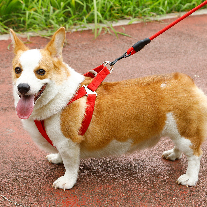 Dog Harness and leash Set Pet Harness Puppy Traction Rope - 2.5CM dealonline.co.nz