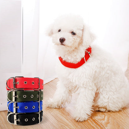 Nylon Dog Collar Multi Colours 4 * 70CM dealonline.co.nz