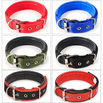 Nylon Dog Collar Multi Colours 4 * 70CM dealonline.co.nz