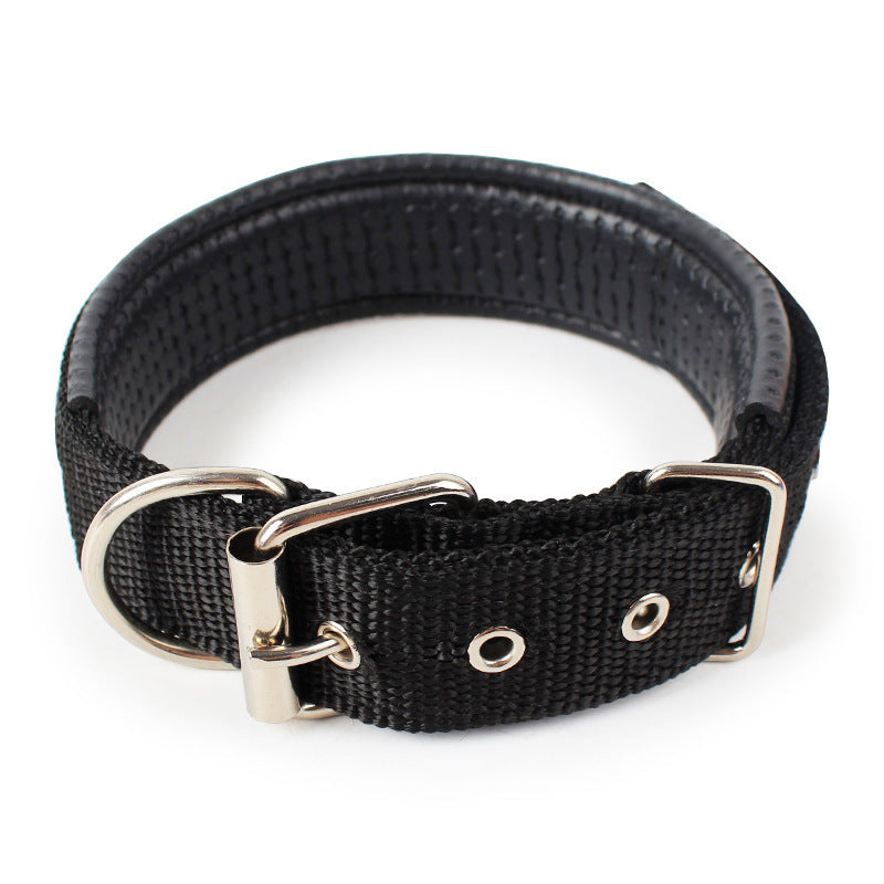 Nylon Dog Collar Multi Colours 4 * 70CM dealonline.co.nz