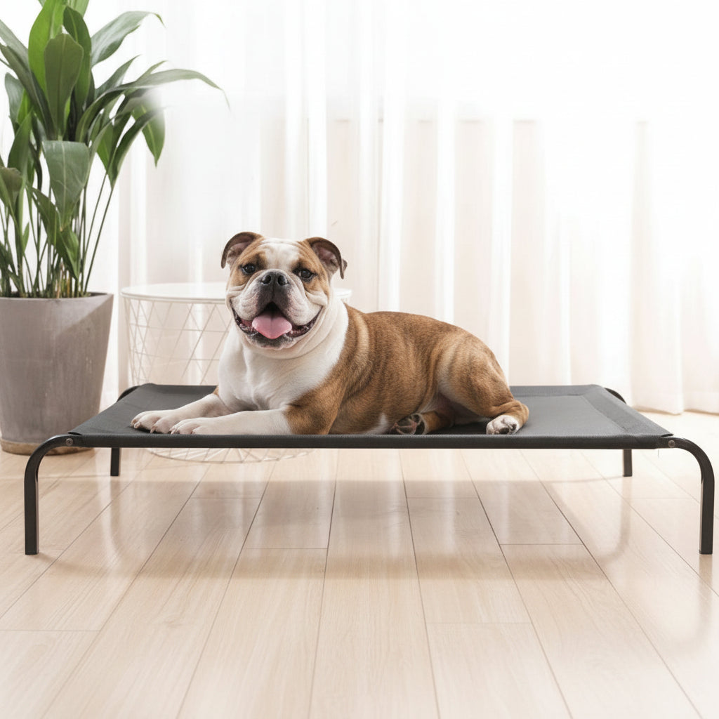 Pet Bed Dog Cat Bed Mesh Elevated Raised Indoor Sleeping Cot dealonline.co.nz