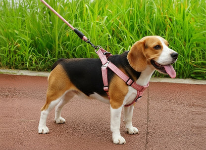 Dog Harness and leash Set Pet Harness Puppy Traction Rope dealonline.co.nz