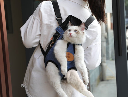 Pet/Puppy Travel Carry Bag, BLUE, XL dealonline.co.nz