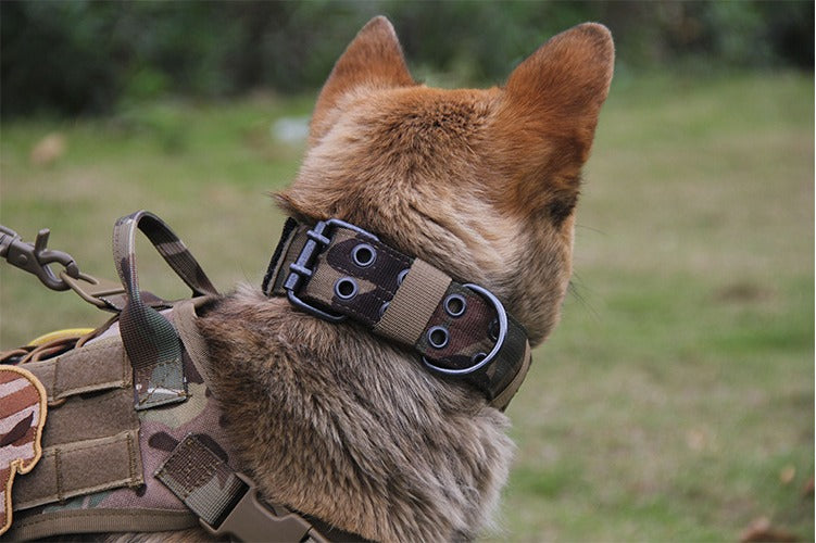 Heavy Duty Dog Collar XL, L dealonline.co.nz