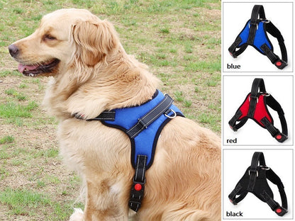 Dog Harness Set Pet Adjustable Chest Strap Walking Collar Vest dealonline.co.nz
