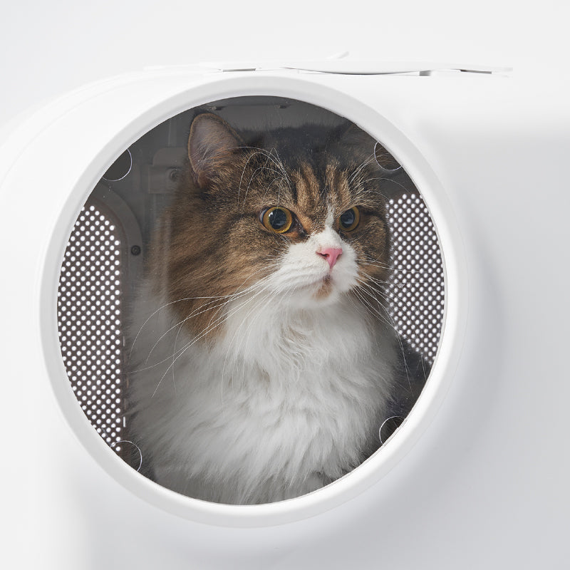 PIDAN Smart Pet Carrier with LED & Ventilation Pidan New Zealand
