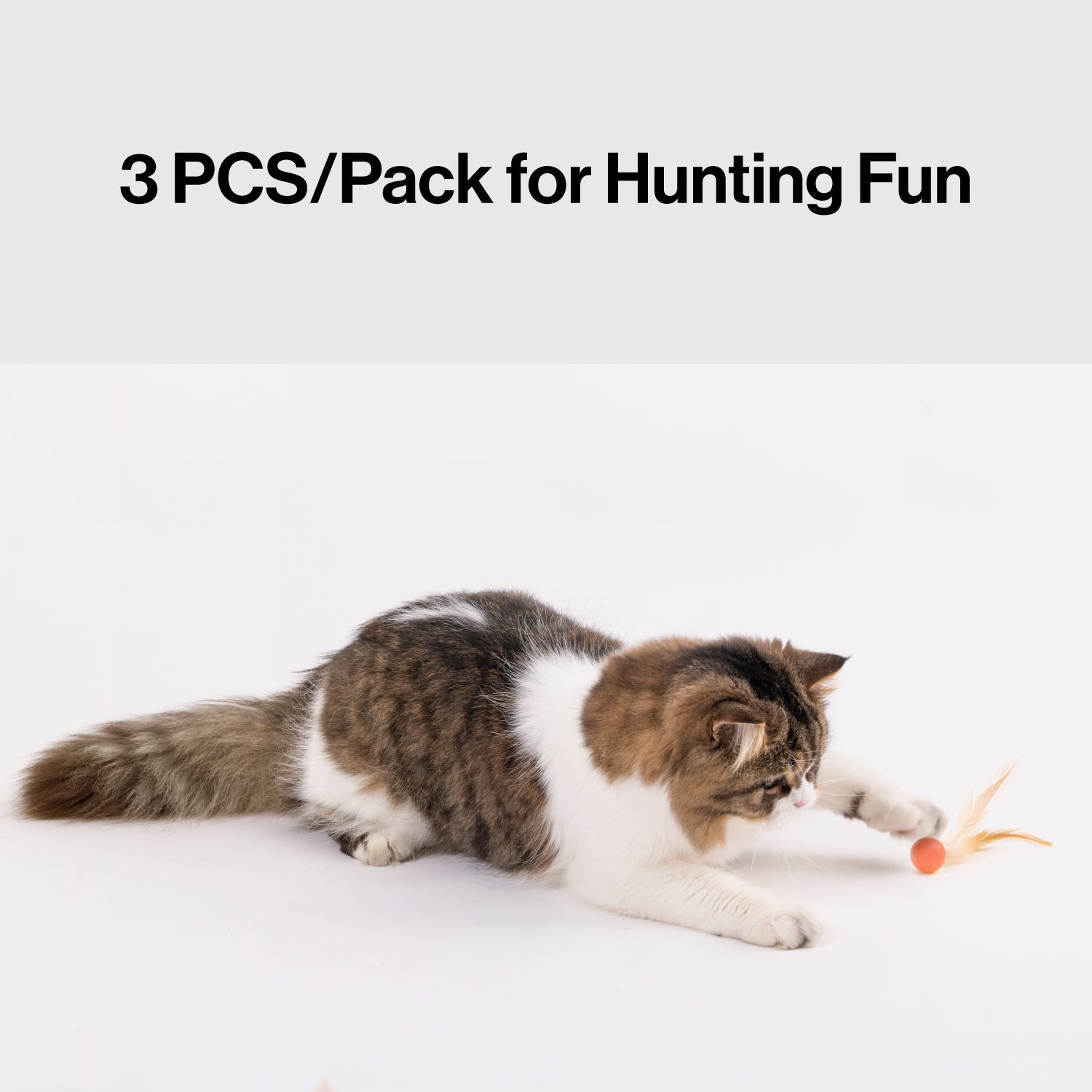 PIDAN Feather Bouncy Cat Toy Balls – 3 Pack Pidan New Zealand