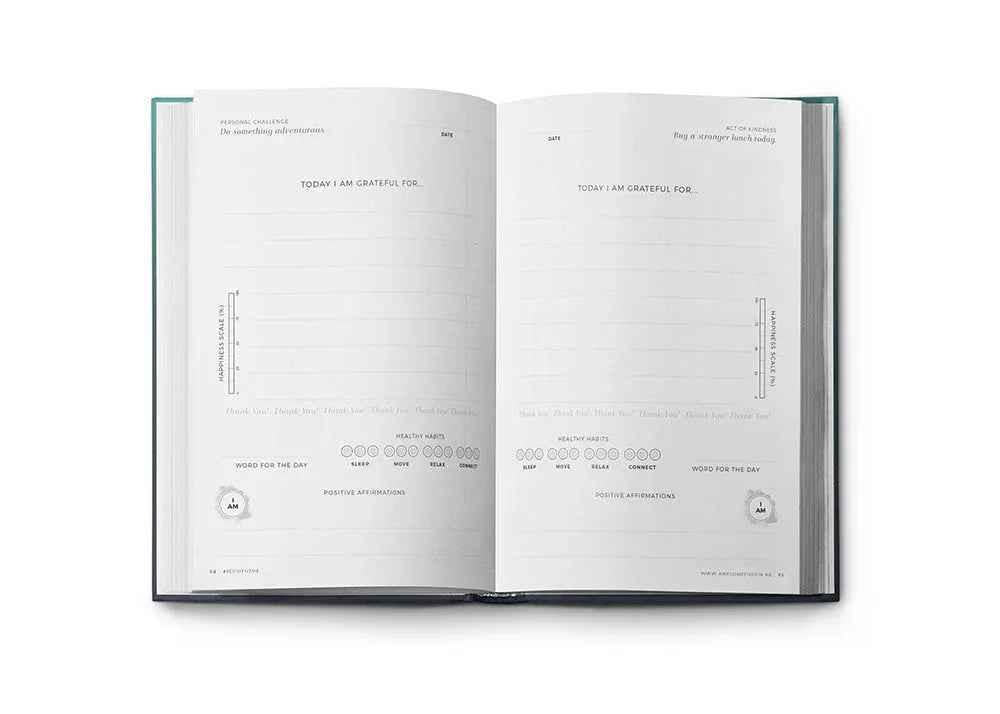 Resilient ME Gratitude Journal (17+)