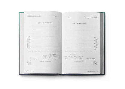 Resilient ME Gratitude Journal (17+)