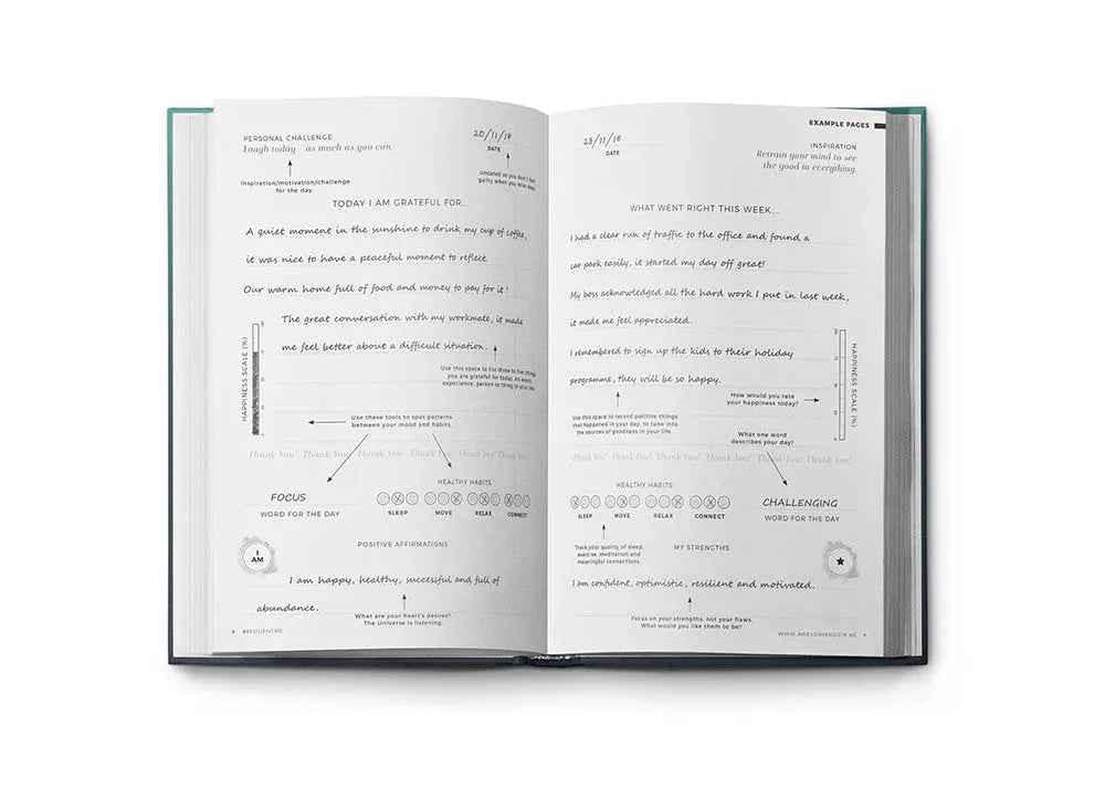 Resilient ME Gratitude Journal (17+)