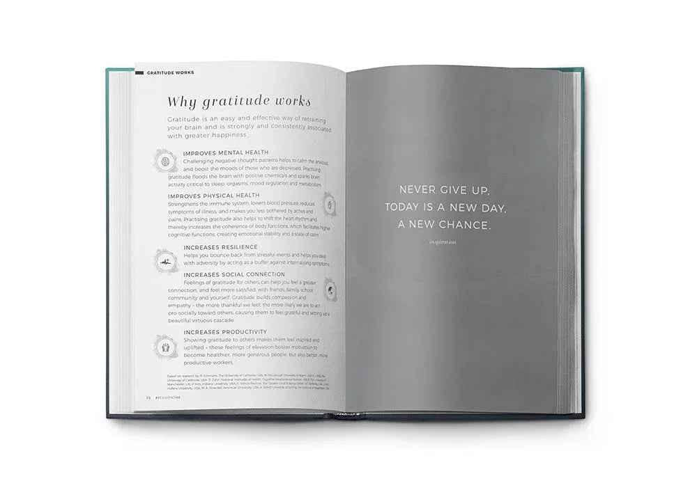 Resilient ME Gratitude Journal (17+)
