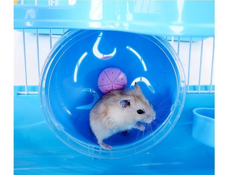 3 Tiers Gorgeous Hamster Mouse Cage pet toy Storey Fantasia Cage Castle - Pink dealonline.co.nz