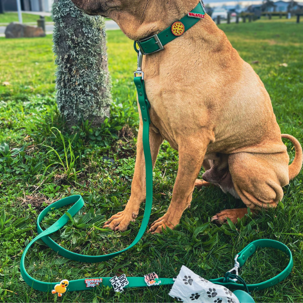 Customisable Dog Lead | Green Walkieez