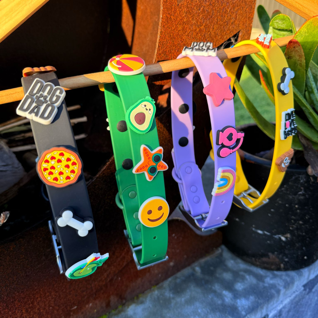 Dog Collar | Yellow Walkieez