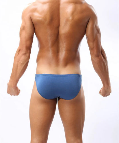 BRAVE PERSON Sexy Modal Underwear Briefs