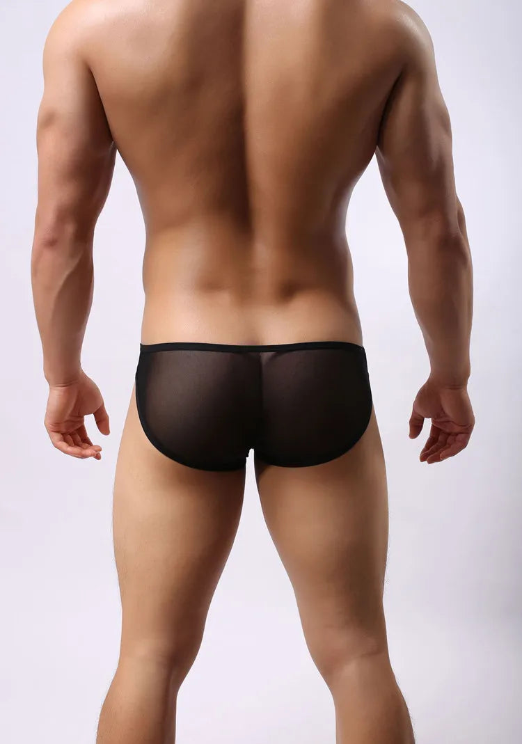 BRAVE PERSON Mesh Men's Briefs - Sexy Transparent Underwear in 4 Colours - ShopHub