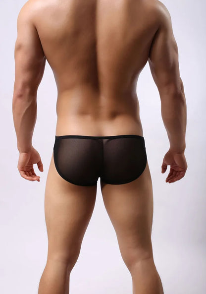 BRAVE PERSON Mesh Men's Briefs - Sexy Transparent Underwear in 4 Colours - ShopHub