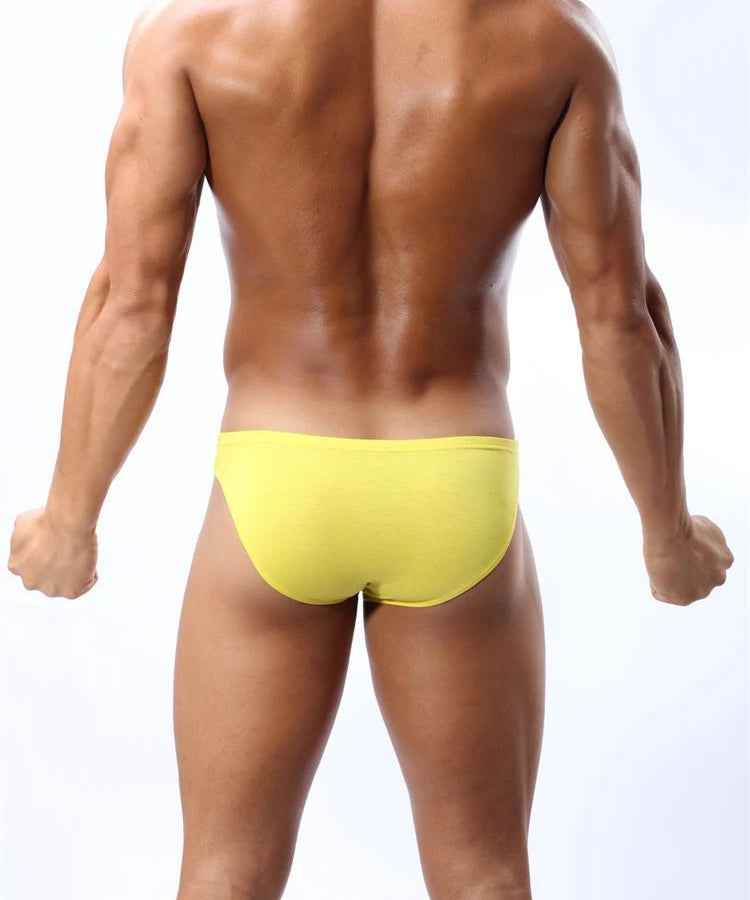 BRAVE PERSON Sexy Modal Underwear Briefs