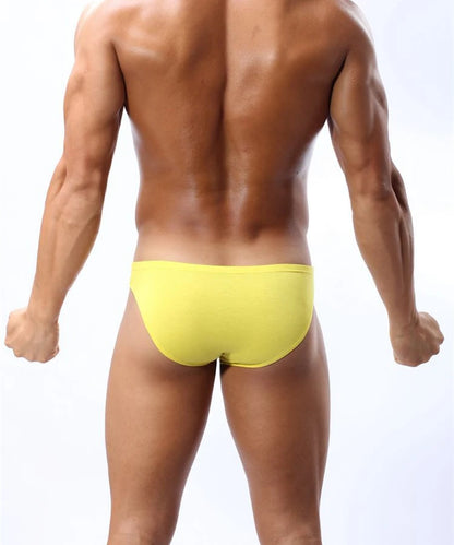 BRAVE PERSON Sexy Modal Underwear Briefs