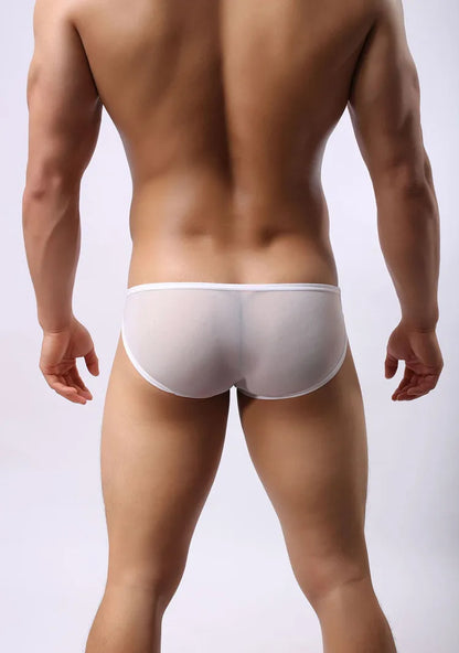 BRAVE PERSON Mesh Men's Briefs - Sexy Transparent Underwear in 4 Colours - ShopHub