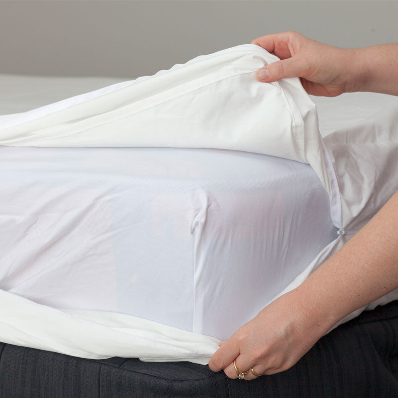 MiteGuard Cotton Mattress Cover MiteGuard