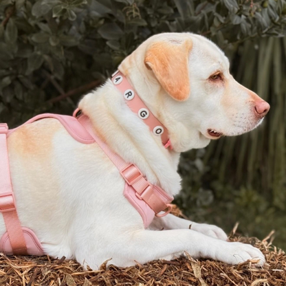 Dog Harness | Blush Pink Walkieez
