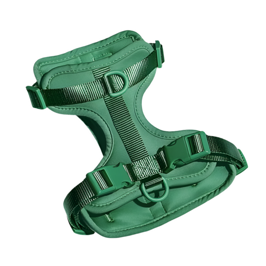 Dog Harness | Green Walkieez