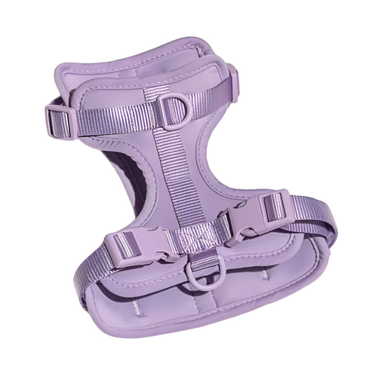 Dog Harness | Lilac Walkieez