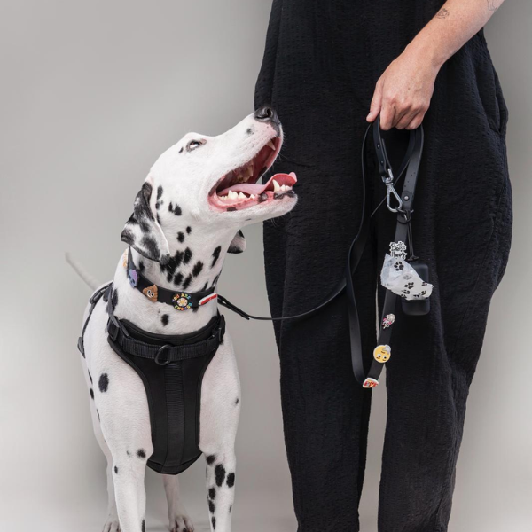Dog Poop Bag Holder | Black Walkieez