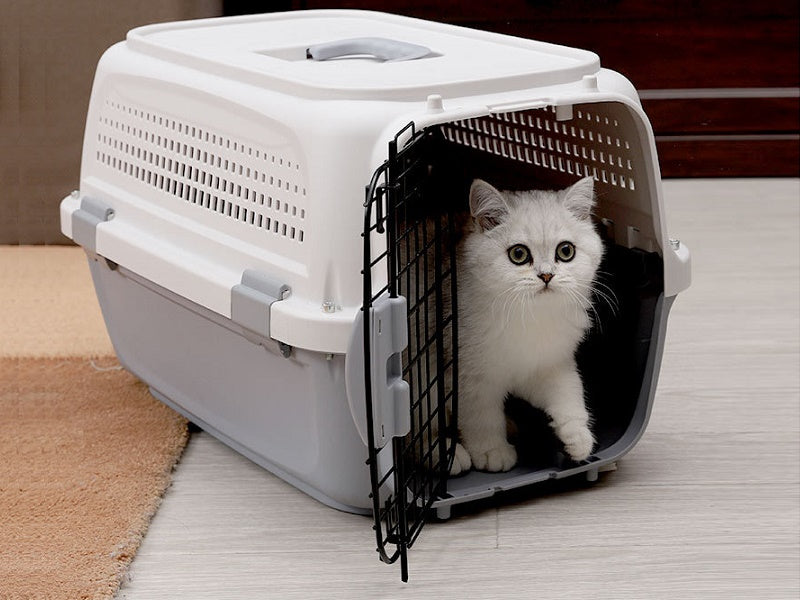 PP 30 Airline Approved Pet Carrier AIR NZ TRAVEL CAGE 58cm With Bowl dealonline.co.nz