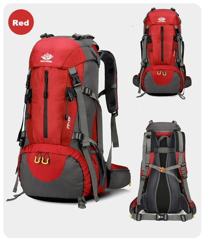 50L (45+5) Hiking Backpack – Waterproof Outdoor Camping & Climbing Daypack ECOTREK