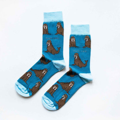 Arctic Animals Bamboo Socks Gift Box of 3.