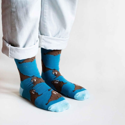 Arctic Animals Bamboo Socks Gift Box of 3.
