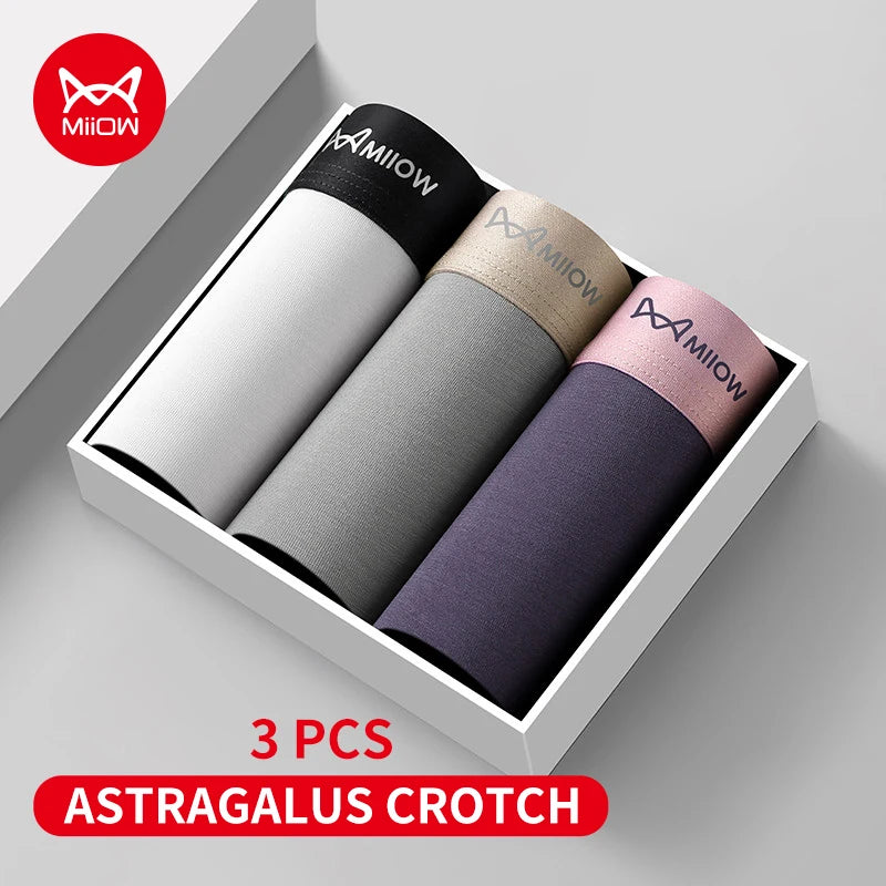 Men's Antibacterial Boxer Briefs - Ultimate Comfort and Freshness
