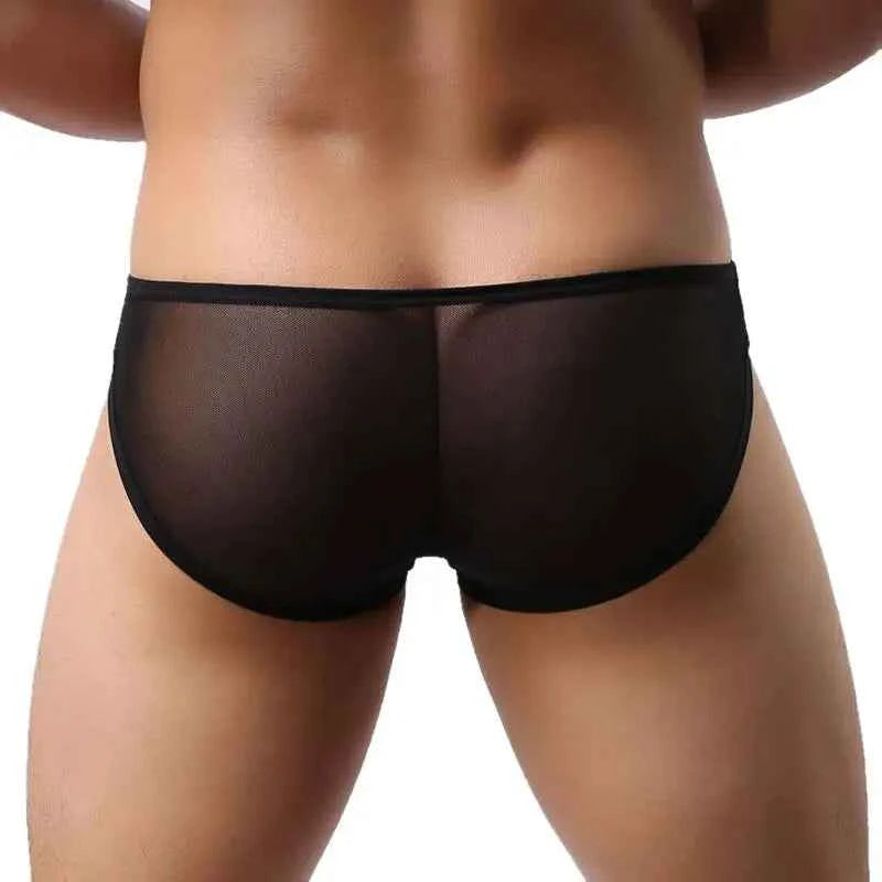 BRAVE PERSON Mesh Men's Briefs - Sexy Transparent Underwear in 4 Colours, High Quality, Free Shipping B1142